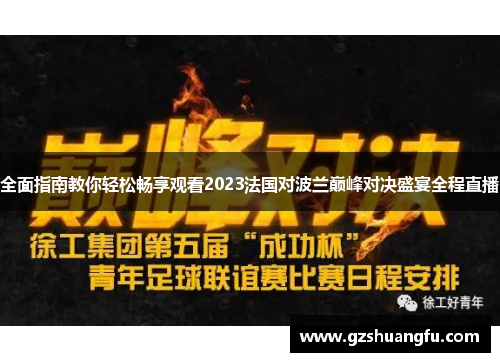 全面指南教你轻松畅享观看2023法国对波兰巅峰对决盛宴全程直播